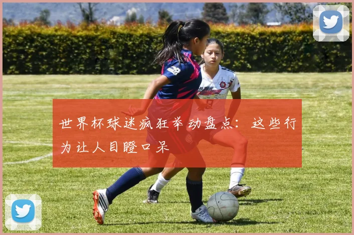 世界杯球迷疯狂举动盘点：这些行为让人目瞪口呆