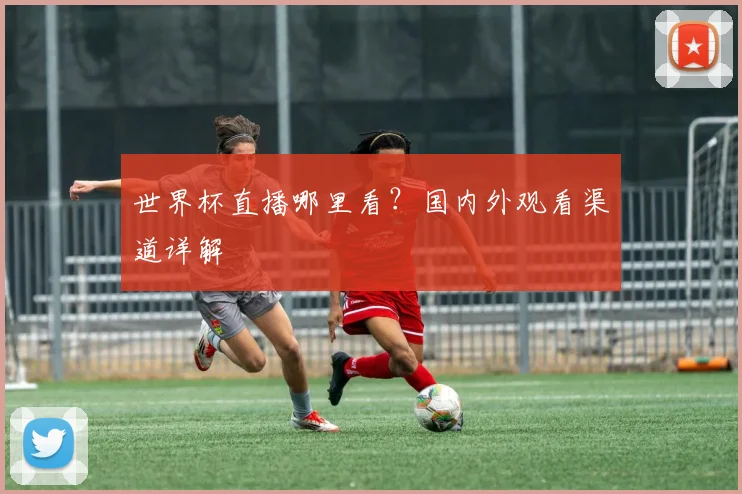 世界杯直播哪里看？国内外观看渠道详解