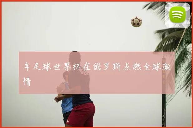 年足球世界杯在俄罗斯点燃全球激情