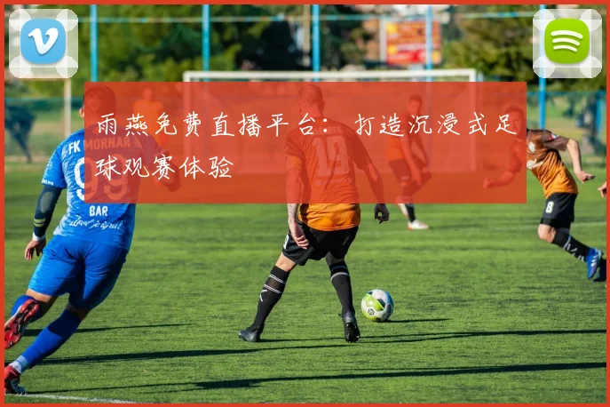 雨燕免费直播平台：打造沉浸式足球观赛体验