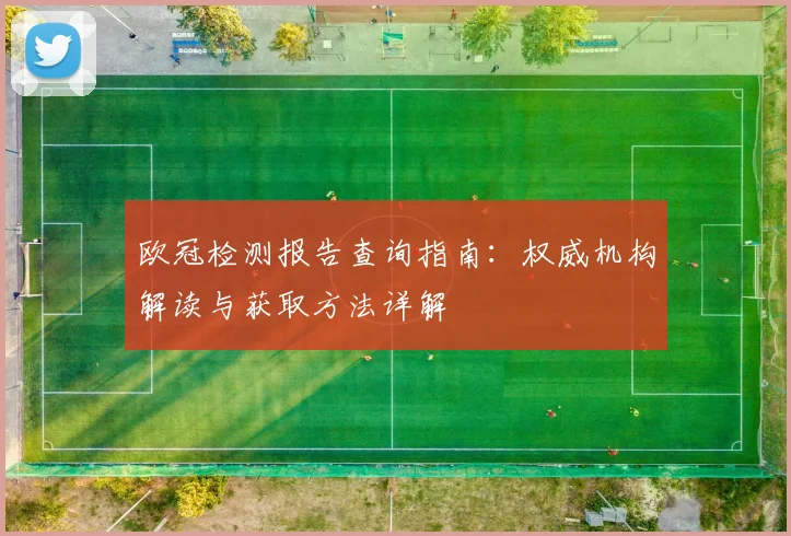 欧冠检测报告查询指南：权威机构解读与获取方法详解