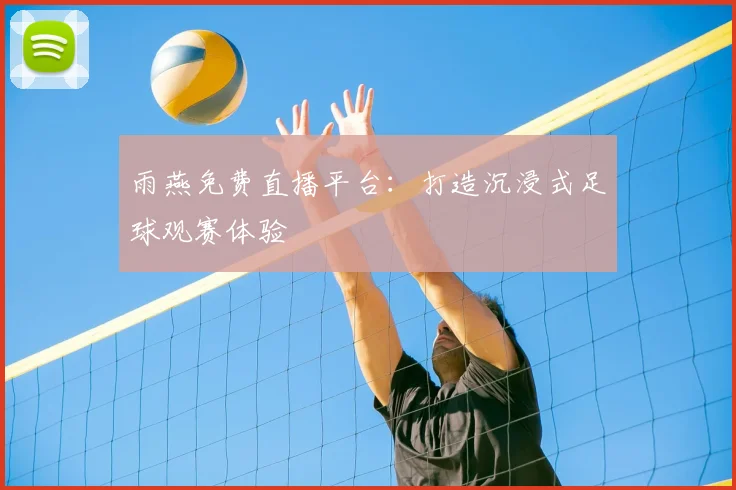 雨燕免费直播平台：打造沉浸式足球观赛体验