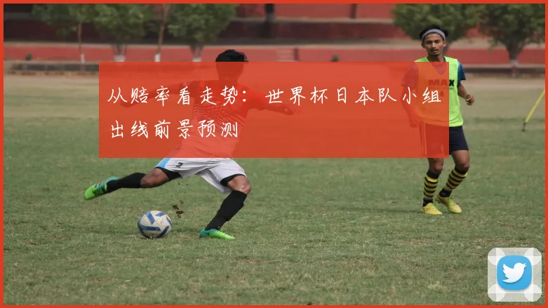 从赔率看走势：世界杯日本队小组出线前景预测